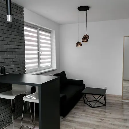 Z Lozem Malzenskim - Bezplatny Parking Apartment *